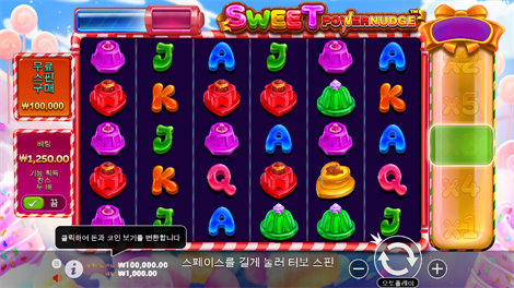 와일드 부스터